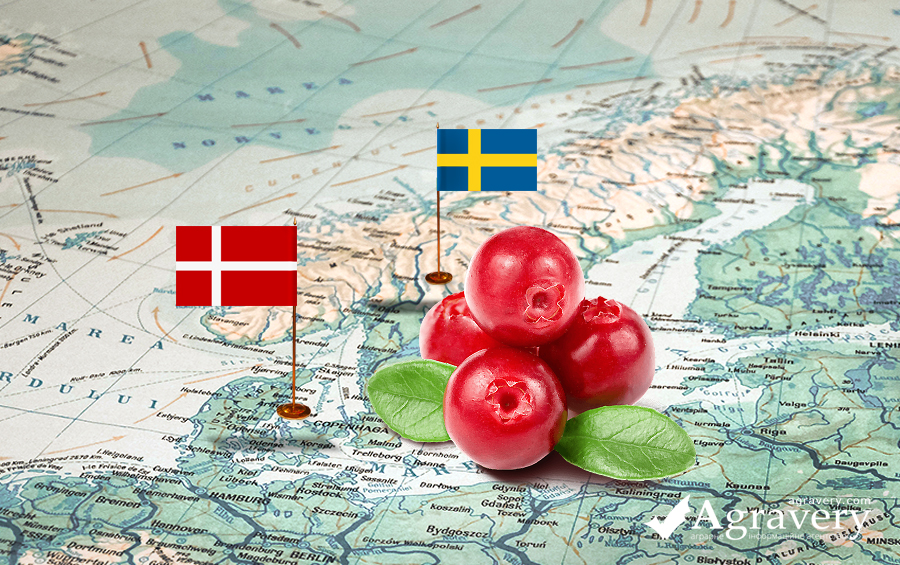 Органічний ринок Данії та Швеції: як експортувати та що мати на увазі виробникам